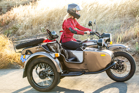 Dog in Rex Specs Dog Goggles riding in a side car motorcycle with it's female human.