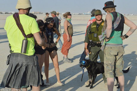 Dog at Burning Man wearing Rex Specs Dog Goggles