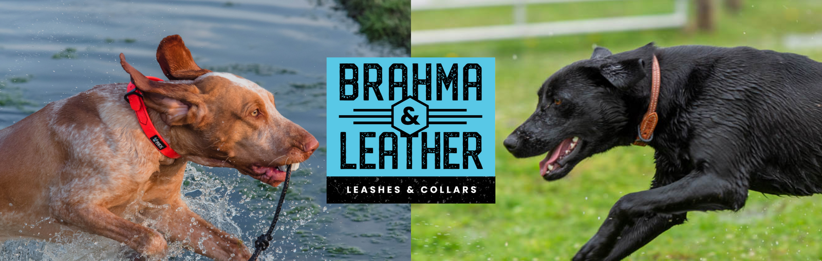 Gear Built for Adventure: Brahma Webb & Leather