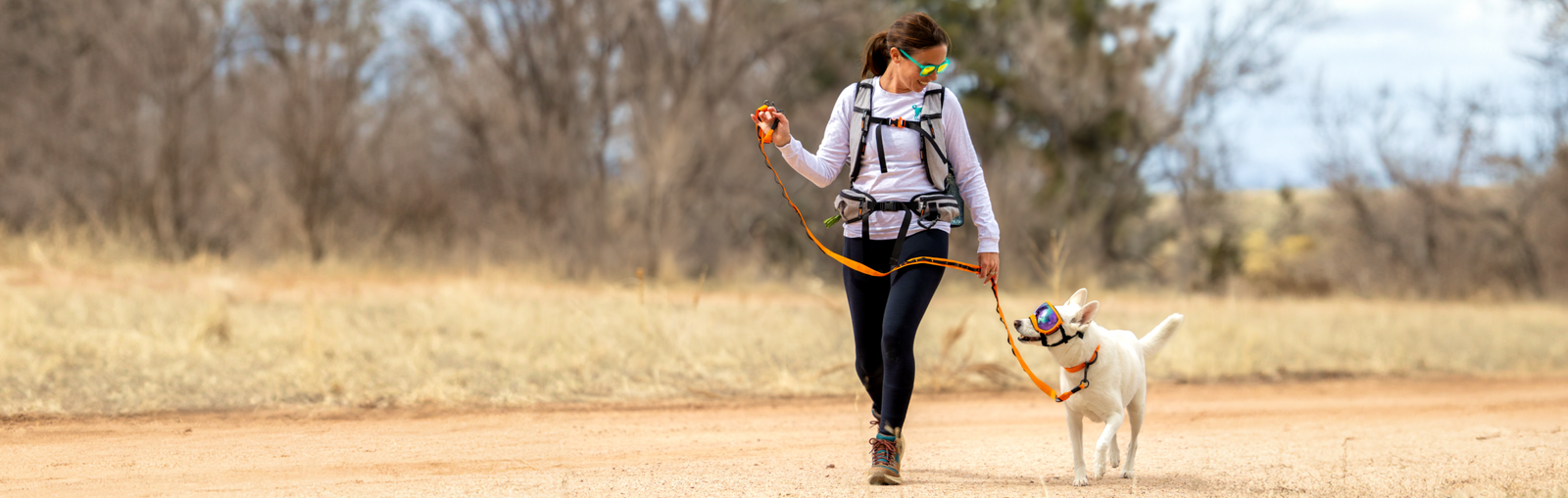 Tails on the Trails: Tips for Hiking With Your Dog