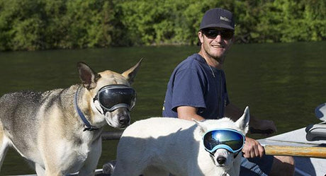 Man in boat with two dogs wearing Rex Specs Dog Goggles