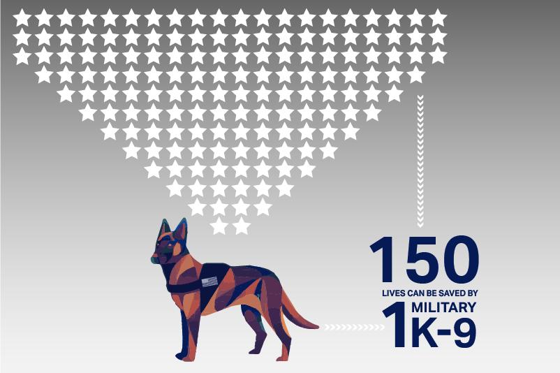 Military Dog Graphic