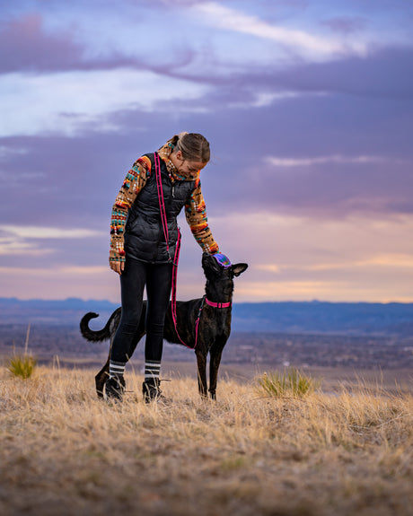 Trail Series Leashes and Collars