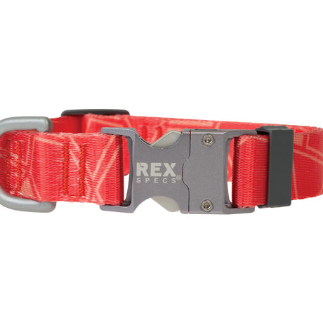 Coral Trails End Collar Buckle Closed