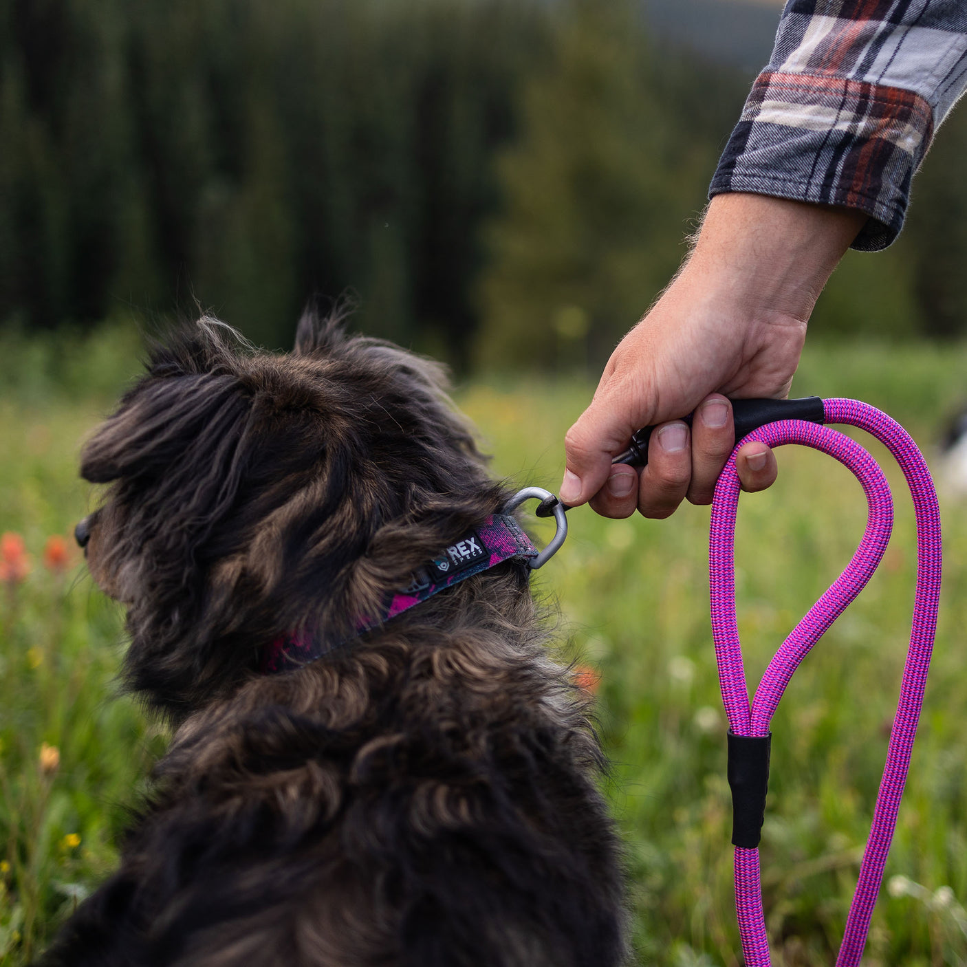 Climber Leash