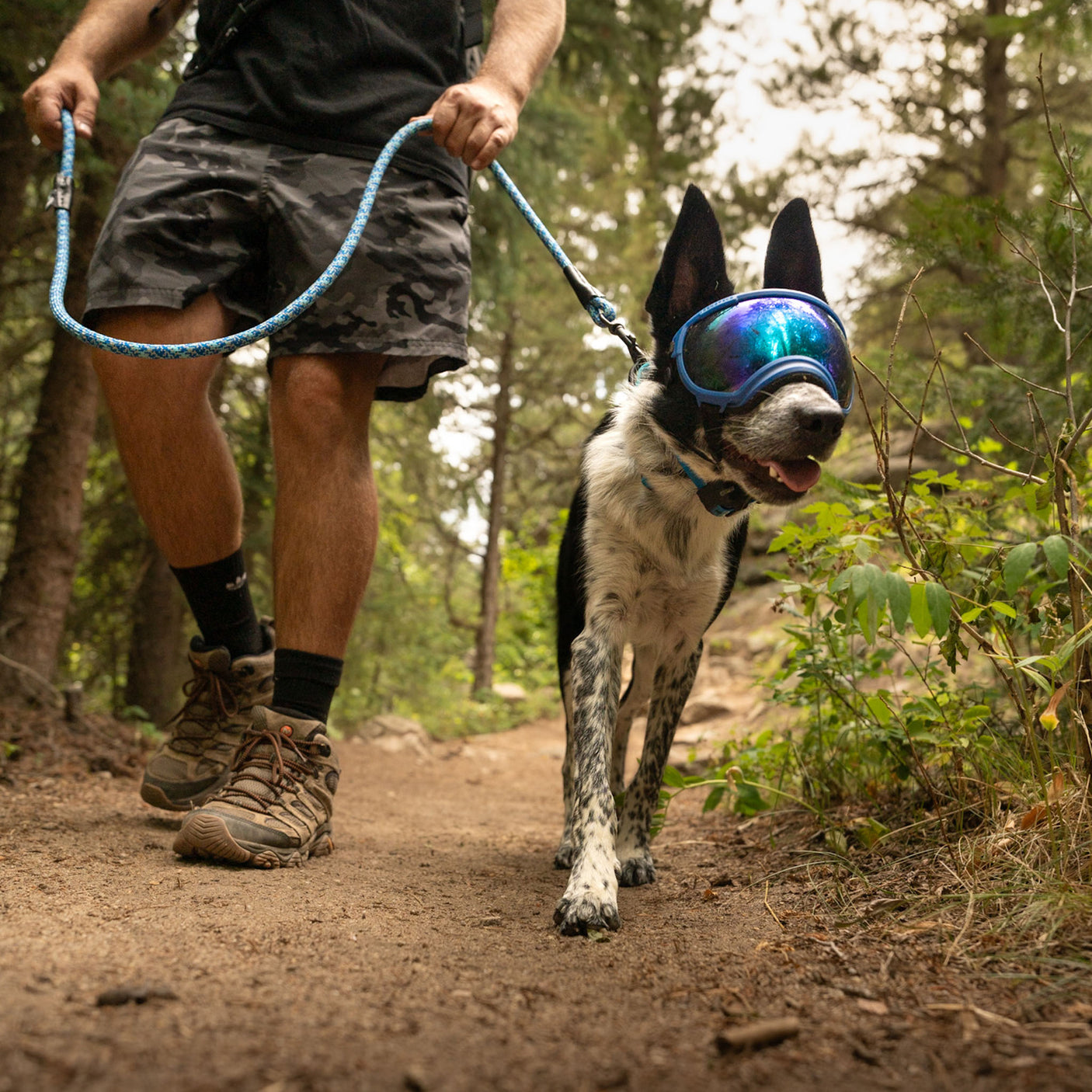 Climber Leash