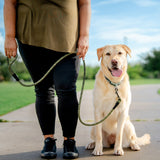 Climber Leash