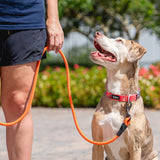 Climber Leash