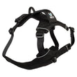 Trailhead Harness