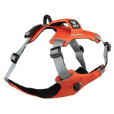 Trailhead Harness