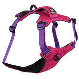 Trailhead Harness