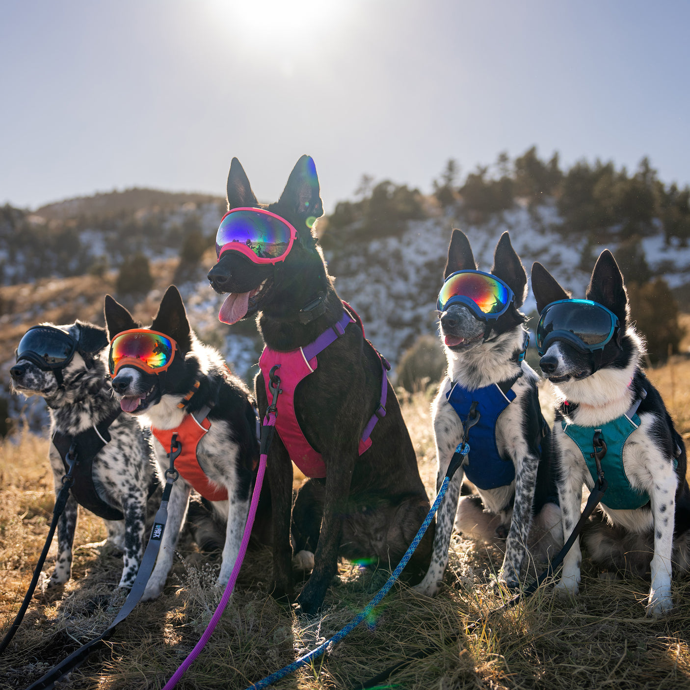 Trailhead Harness