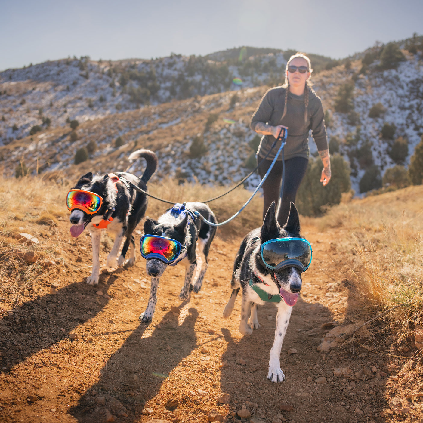 Trailhead Harness