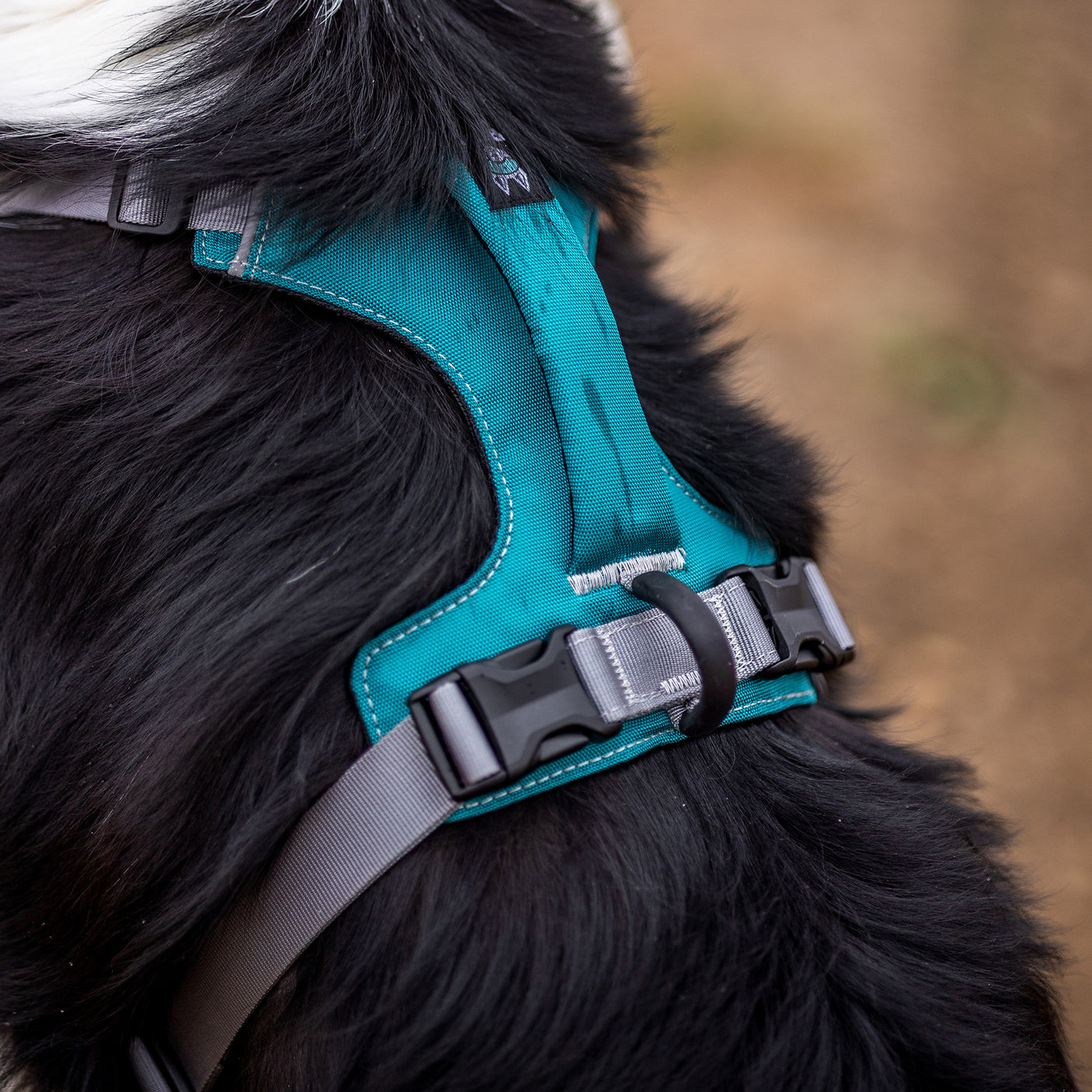 Trailhead Harness