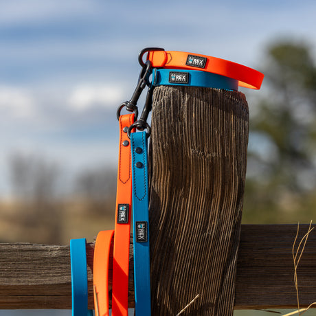 Weather-Resistant Brahma Leash displayed on fence