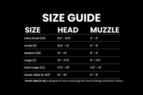 Dog Goggle Size Guide - lifestyle