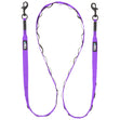 Pike Purple Trailhead Leash Dual Snap