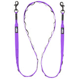 Pike Purple Trailhead Leash Dual Snap