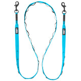 Bighorn Blue Trailhead Leash Dual Snap