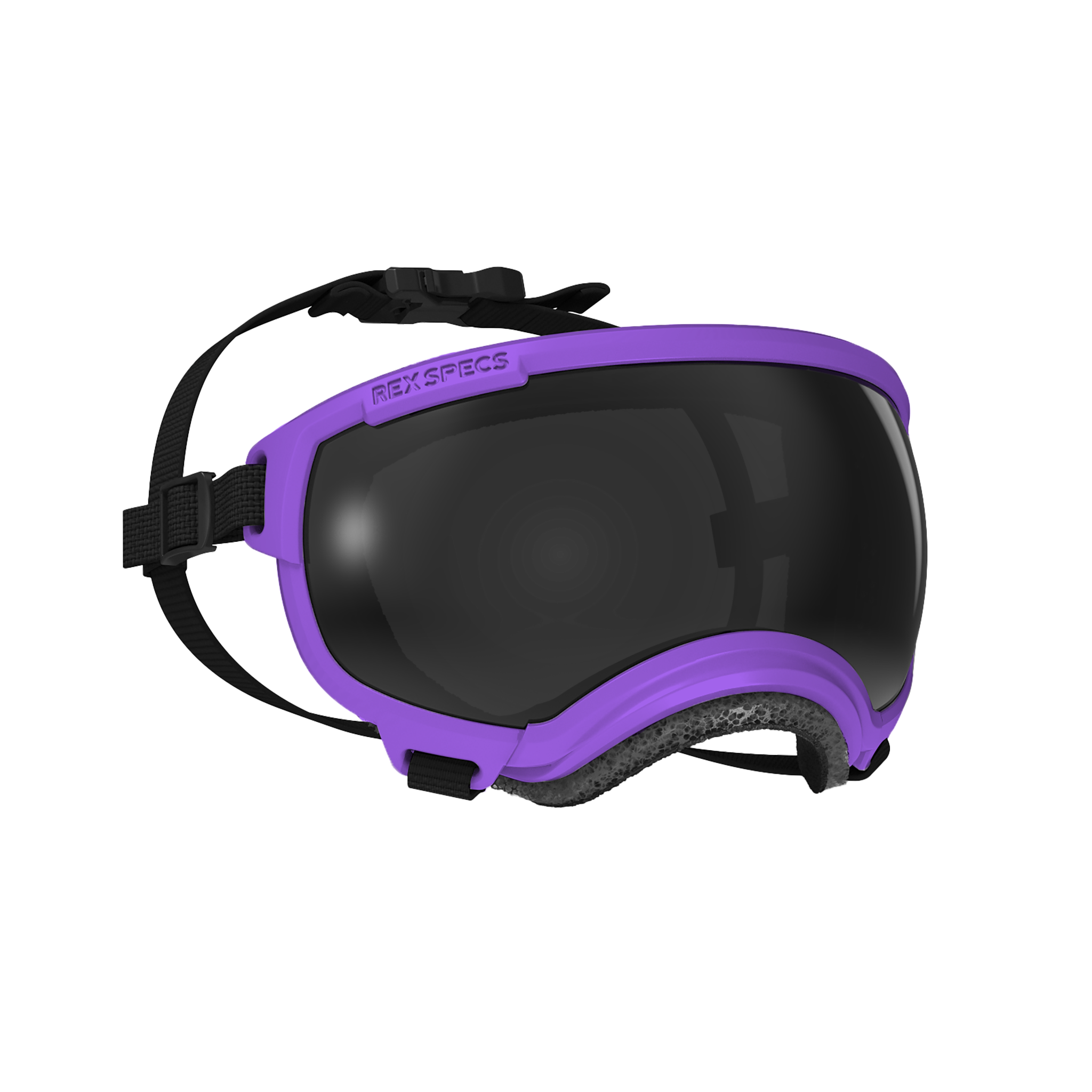 Dog Goggles, Small, Pike Purple