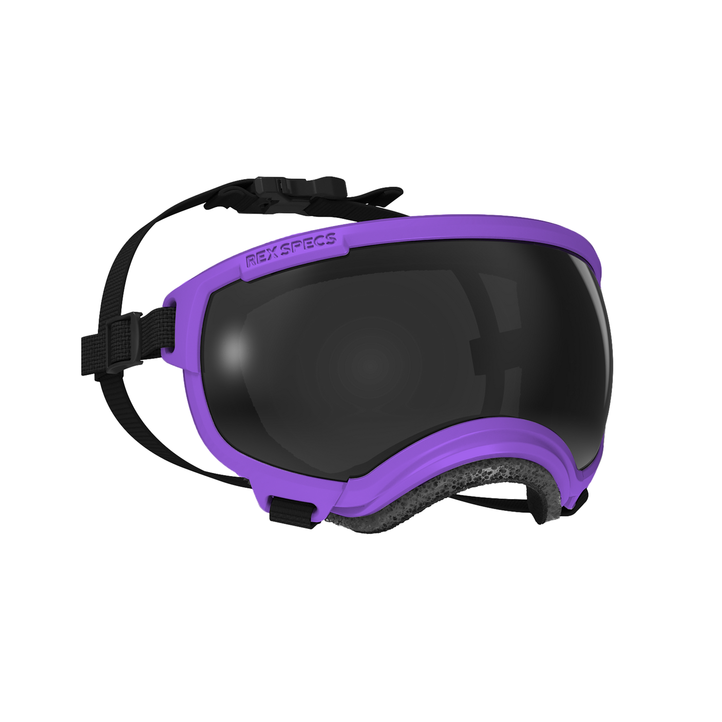 Dog Goggles, Small, Pike Purple