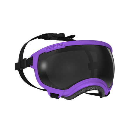 Dog Goggles, Small, Pike Purple