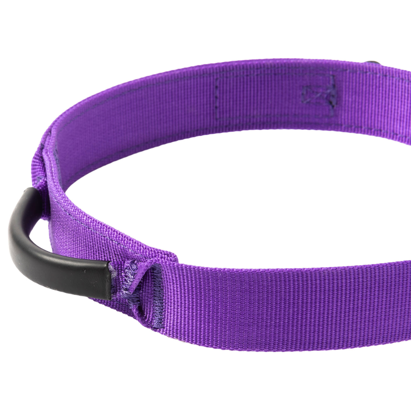 Pike Purple Crux Collar Loop