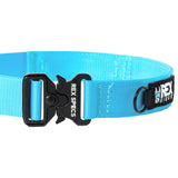 Big Horn Blue Crux Collar Buckle