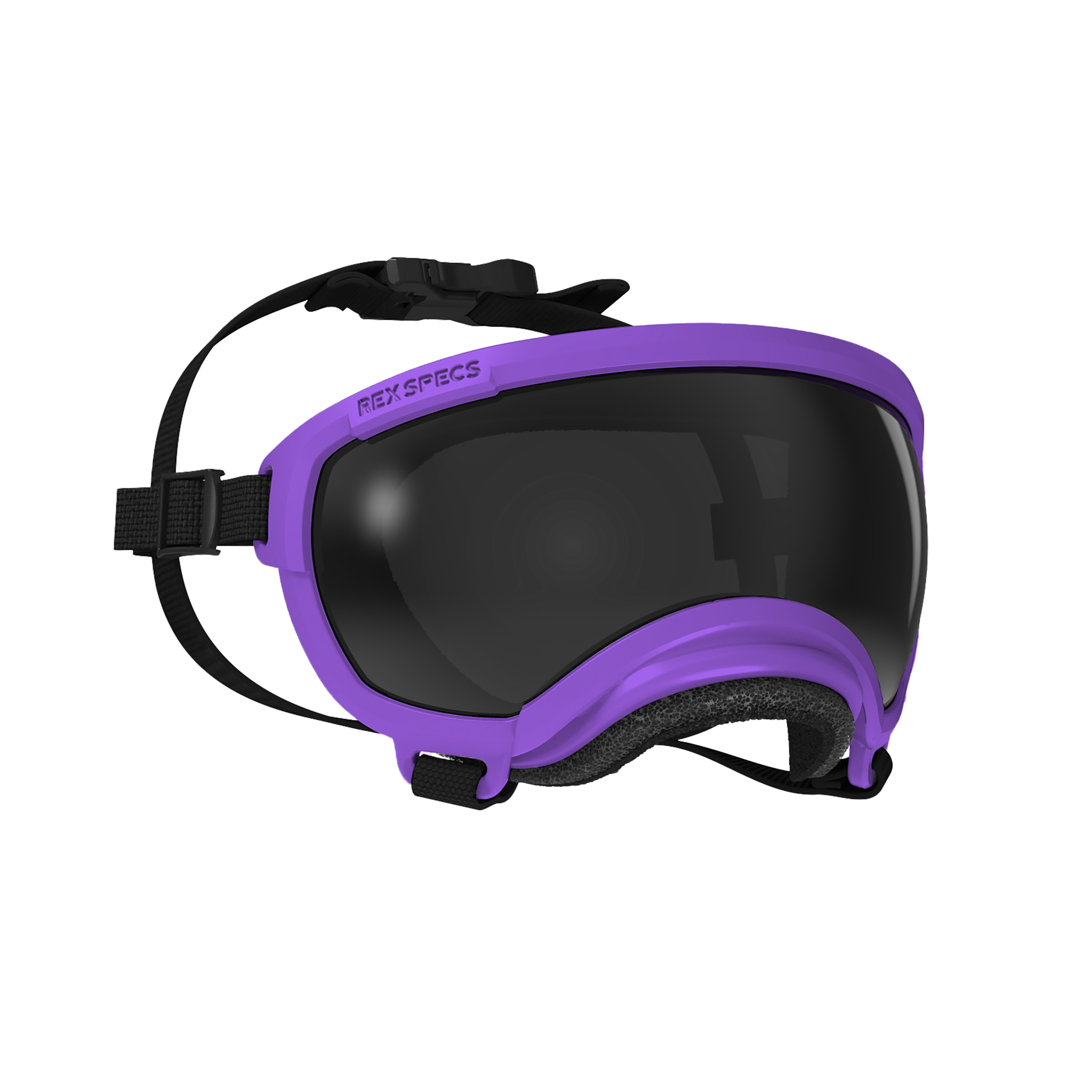 Dog Goggles, Extra Small, Pike Purple