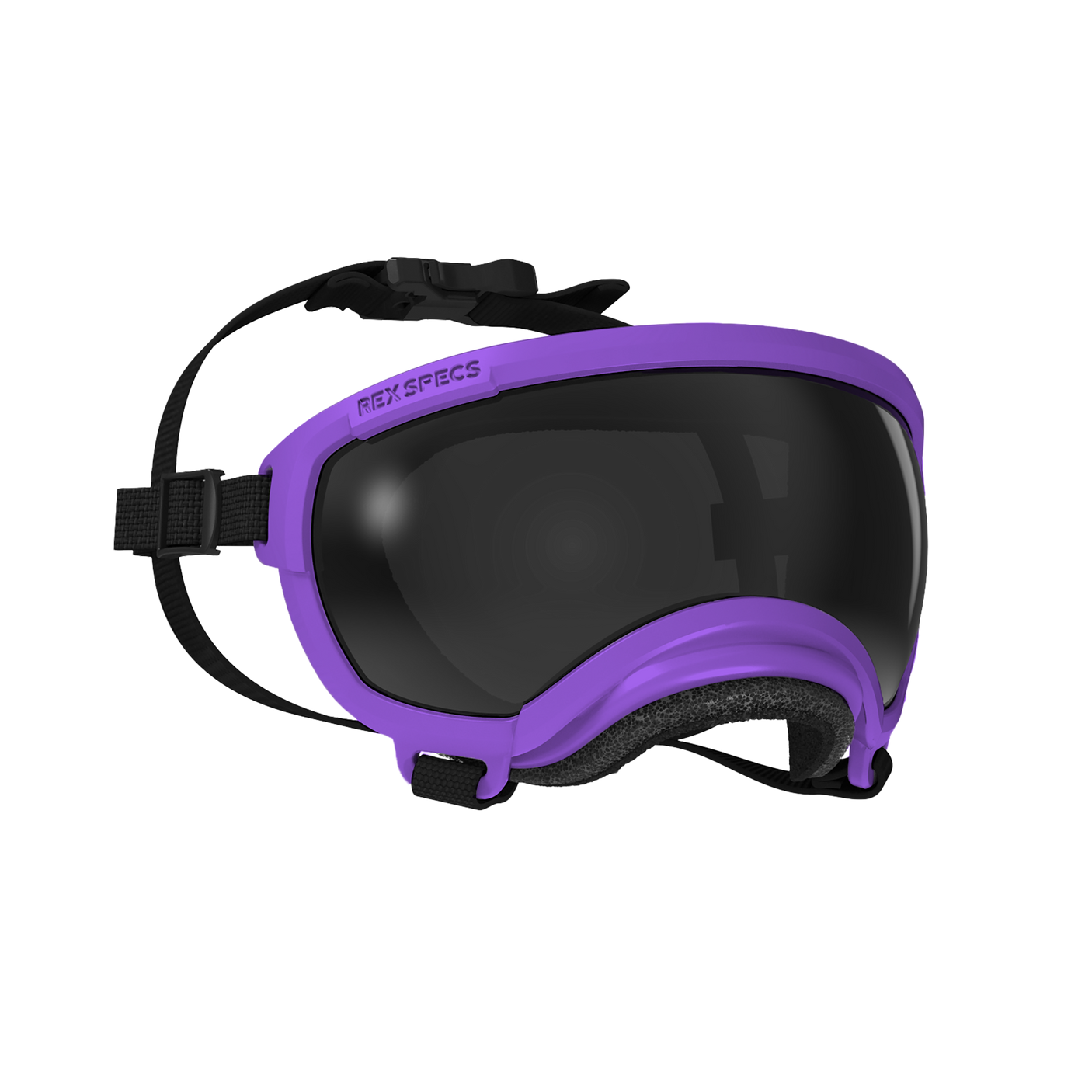 Dog Goggles, Extra Small, Pike Purple