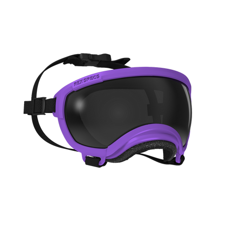 Dog Goggles, Extra Small, Pike Purple