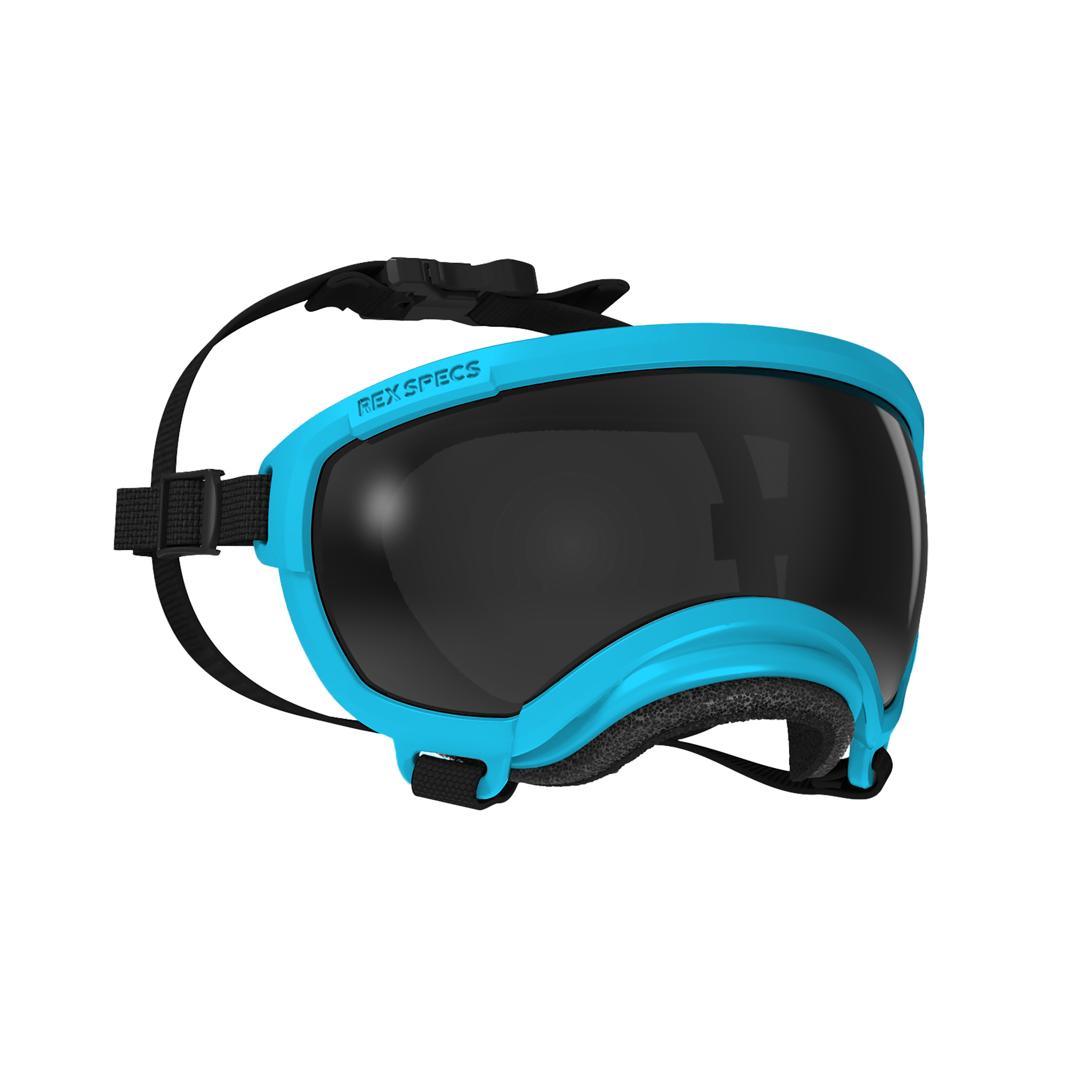 Dog Goggles, Extra Small, Big Horn Blue
