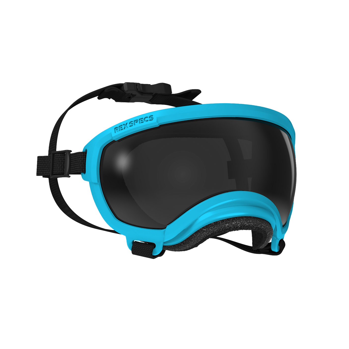 Dog Goggles, Extra Small, Big Horn Blue