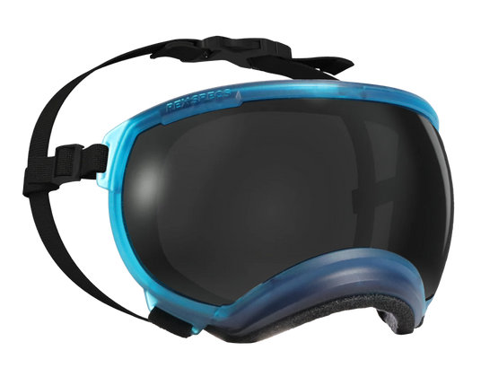 glacier blue rex specs goggles