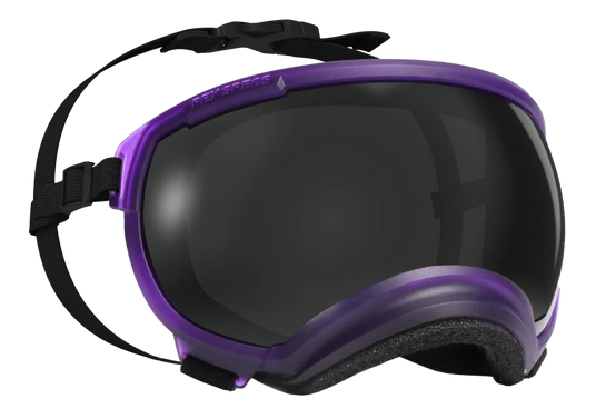 riptide purple rex specs goggles