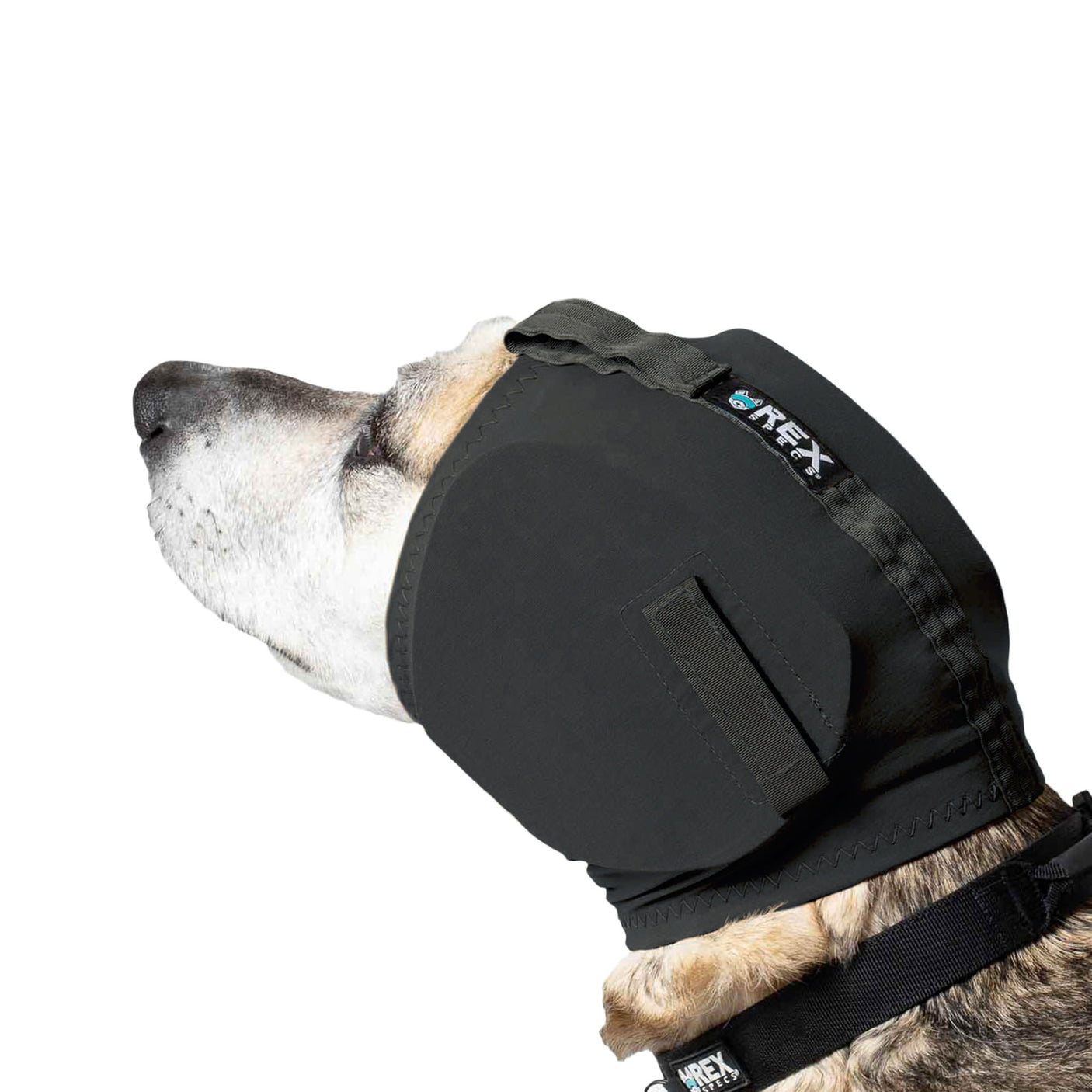 Ear Pro for Dogs